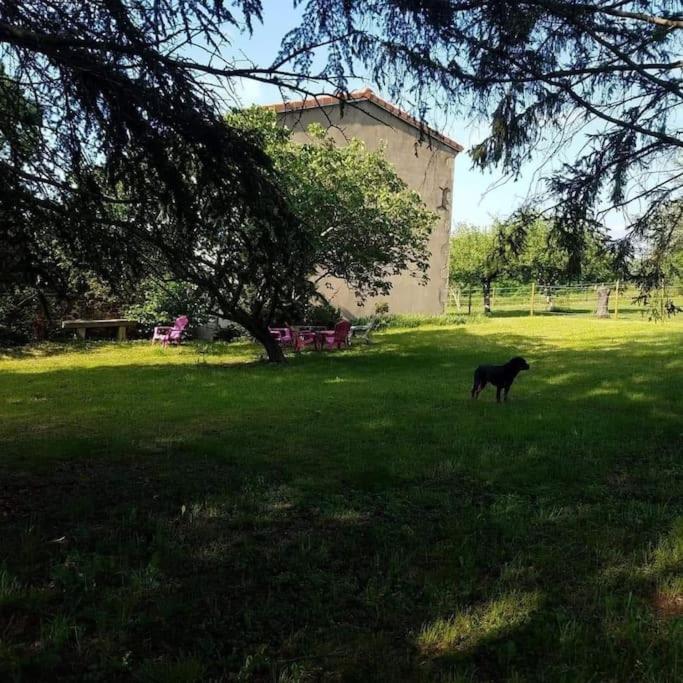 Gite La Roche Paisible Saint-Julien-de-Coppel Luaran gambar